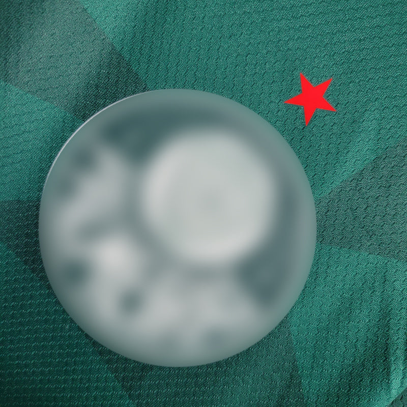 Camisa Palmeiras 2 AWAY 24/25 - (Feminina)