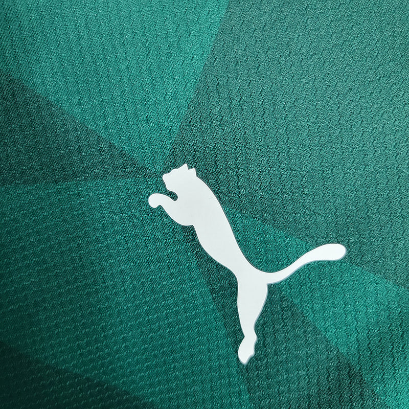 Camisa Palmeiras I 23/24 Puma - Verde - (Feminina)