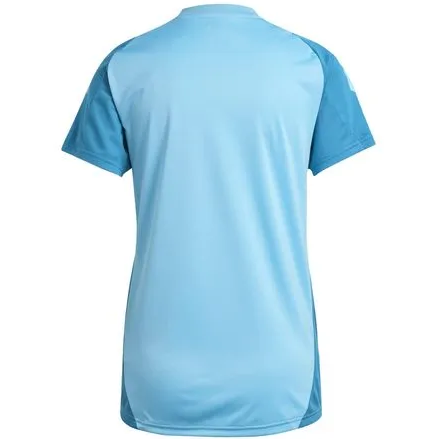 Camisa Flamengo Treino 2025 - (Feminina)