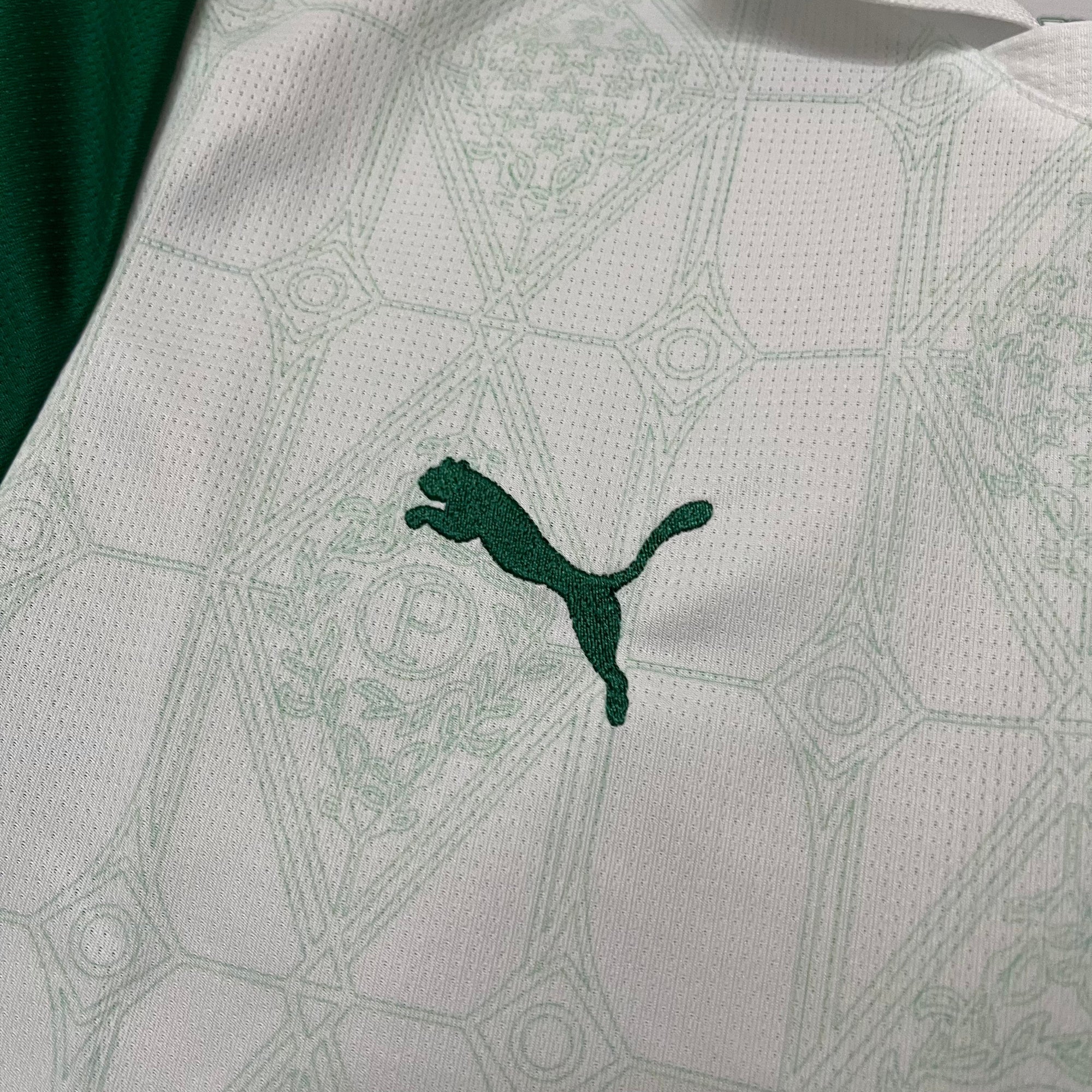 Camisa Puma Palmeiras II 2025 - (Feminina)